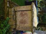 image of grave number 767944